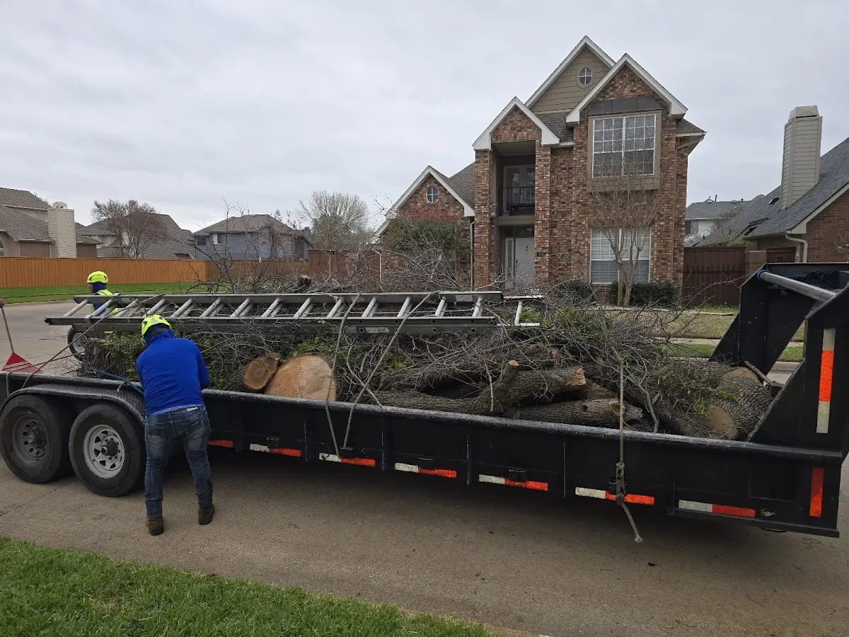 Expert Tree Pest Control with proper safety equipment in Portage